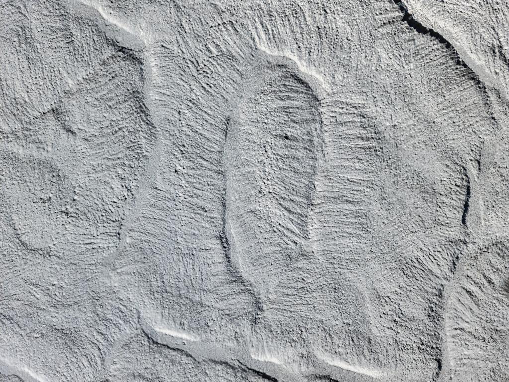 The moon's surface. Photo by Duskfall Crew on Unsplash