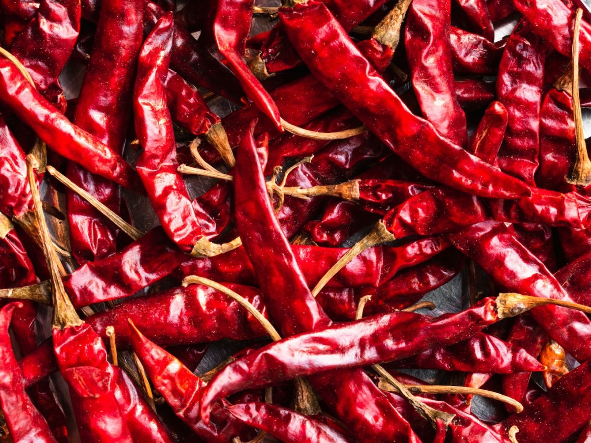 You’re Out, Caption Halloween&nbsp;Spice